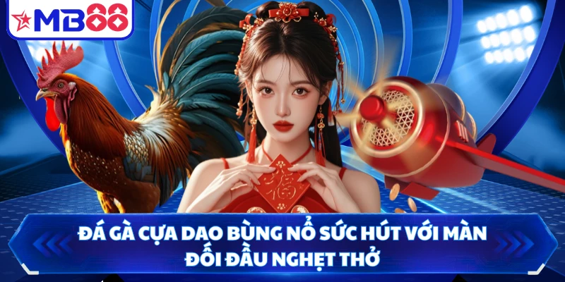 Đá Gà Cựa Dao Bùng Nổ Sức Hút Với Màn Đối Đầu Nghẹt Thở