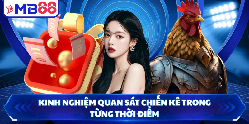 Kinh nghiệm quan sát chiến kê trong từng thời điểm