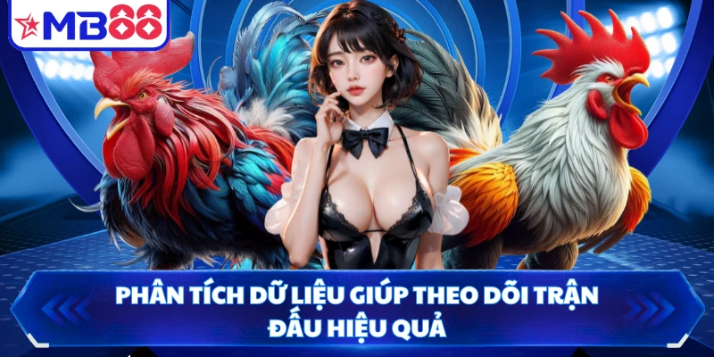 Phân tích dữ liệu giúp theo dõi trận đấu hiệu quả